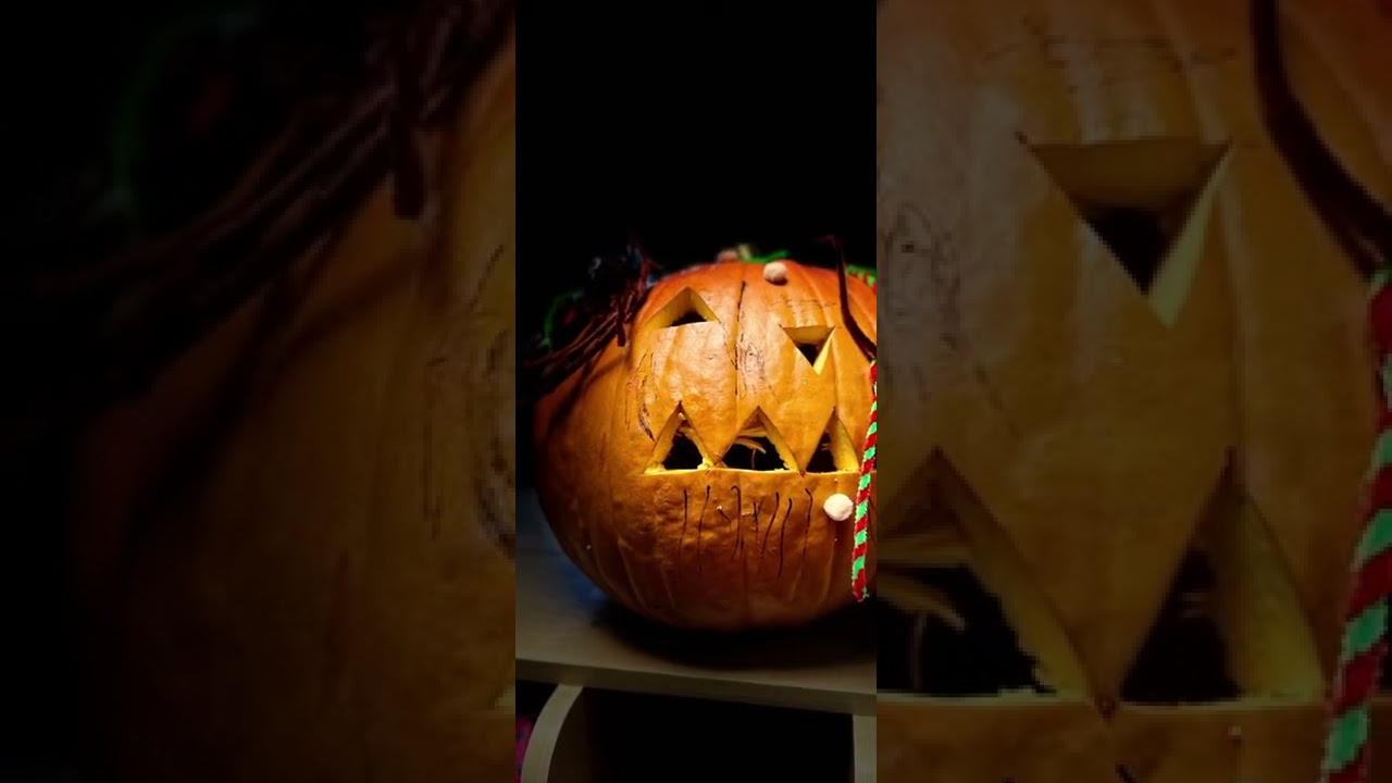 Gumisiowe Pumpkin